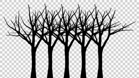 Row of multiple bare winter tree silhouettes isolated on transparent backgrou Illustration