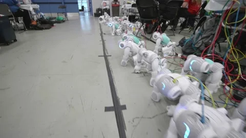 Row Of Nao Robots Being Charged On The Floor At Tournament. Follow Shot Stock Footage 130235095