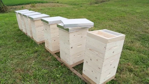 Row of new apiaries Stock-Footage 74910970