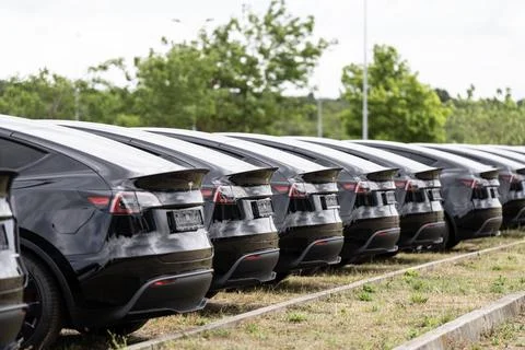 Row of new black Tesla Model Y cars parked rear view at delivery lot Stock Photos