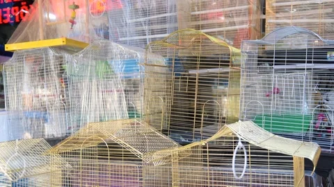Row of New Empty Bird Cages Outside a Pet Shop Stock Footage 330978849