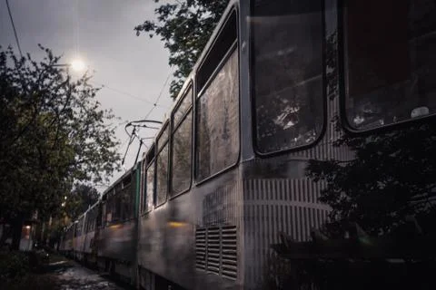 A row of old trams stand one by one in the park against the background of a c Stock Photos