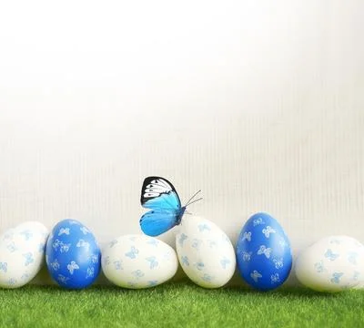 Row of painted colored easter eggs and butterfly on green grass. Stock Photos