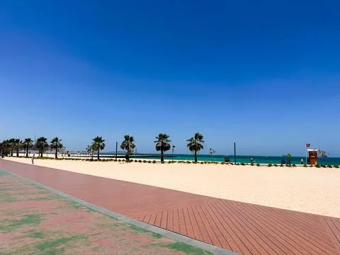 Row of Palm Trees Along Sandy Beach with Clear Blue Sky and Ocean Horizon Stock Photos