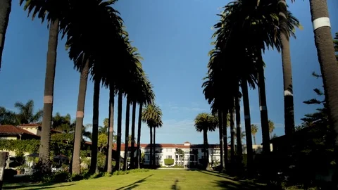 Row of palm trees leads to building in Santa Barbara California Stock Footage 78031794