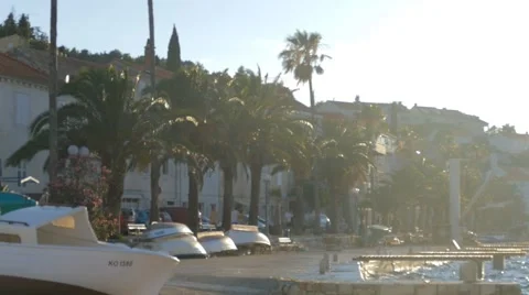 Row of Palm Trees to the Promenade Stock Footage 54897633