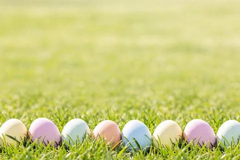 Row of pastel Easter eggs nestled in lush green grass on a sunny day Stock Photos