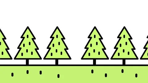 Row Of Pine Trees Stock Footage 343510208