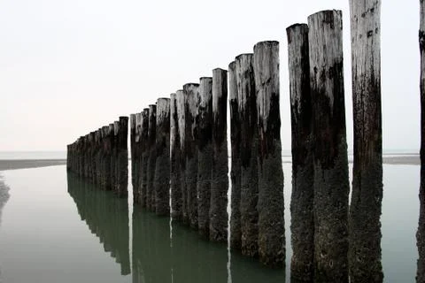 Row of poles on the beach Stock Photos