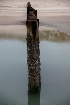 Row of poles Stock Photos