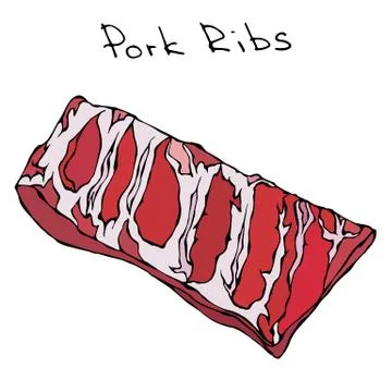 Row Pork Ribs. Realistic Vector Illustration Isolated Hand Drawn Doodle or Stock Illustration
