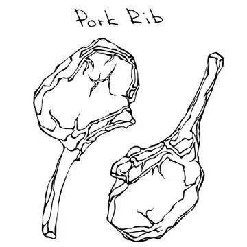 Row Pork Ribs. Realistic Vector Illustration Isolated Hand Drawn Doodle or Stock Illustration