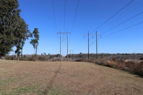 Row of power lines with field Stock Photos