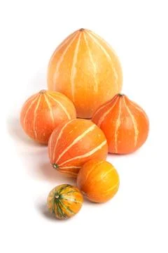 Row of pumpkins Stock Photos