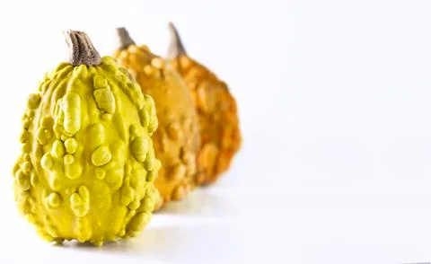 Row of pumpkins Stock Photos