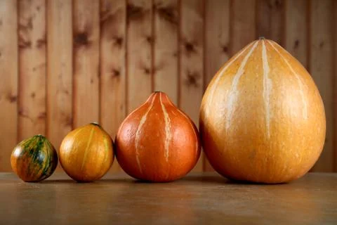 Row of pumpkins on a table Stock Photos