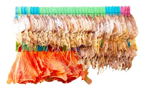 Row of raw dried squid for concept of local Thai street foods Stock Photos