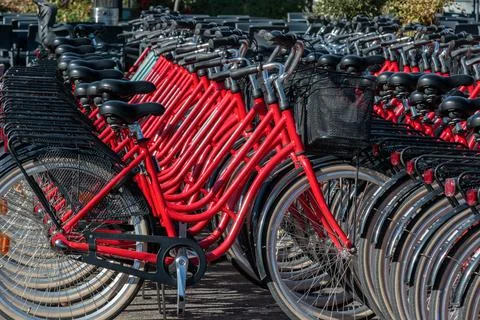Row of red bikes for bicycle sharing Stock Photos