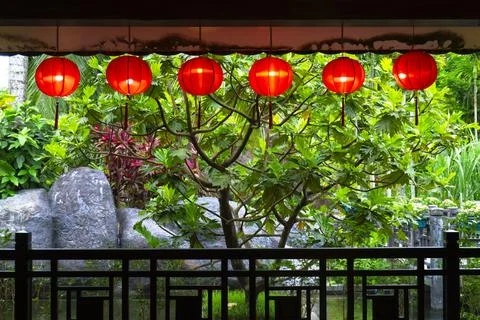 Row of red lanterns hang from a tree Stock Photos
