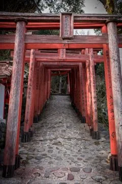 Row of Red Shrine Stock Photos