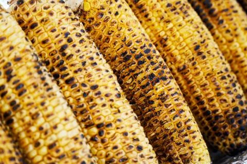 Row of rosted corn cob Stock Photos