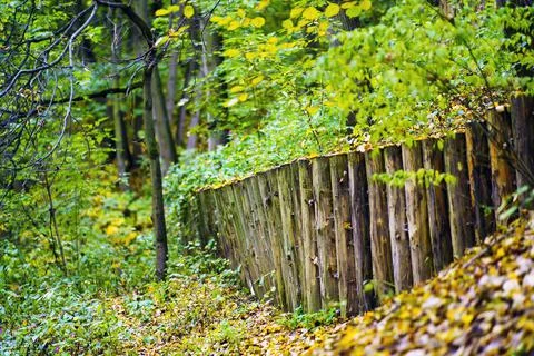 A row of round logs are driven into the ground to keep the ground on a slope Stock Photos