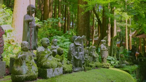 Row of sacred stone Buddhist statues lined up on a massive mossy rock Stock Footage 339041542