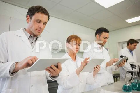 Row of scientists working with their tablets Stock Photos