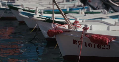Row of small boats with red rope fenders Vídeo Stock 334446306