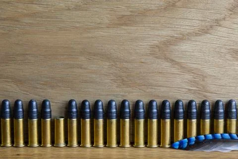 A row of small caliber bullets and one empty cartridge. Foto stock