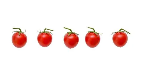 Row of small Cherry tomatoes isolated on white, clipping path Stock Photos