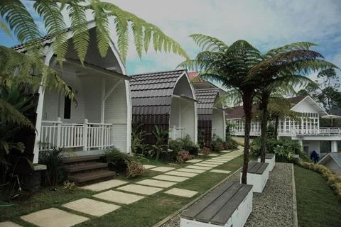 A row of small cottages with a palm tree in the background Stock Photos
