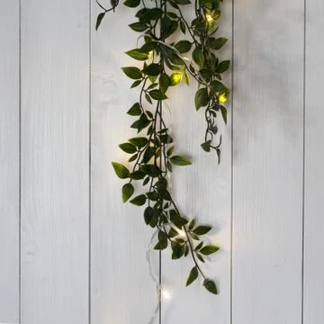 A row of small lights and a climging plant Stock Photos