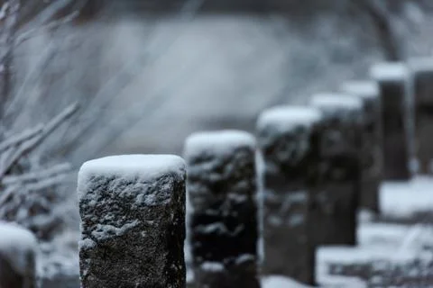 Row of small snow capped stone posts on street in winter Stock Photos