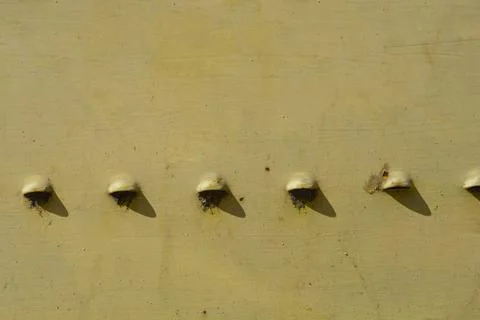 Row of small ventilation louvers on a yellow metal sheet Stock Photos