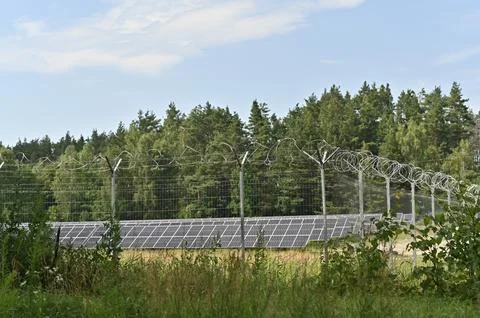 Row of solar panels enclosed behind secure wire fence near forest outdoors. Stock Photos