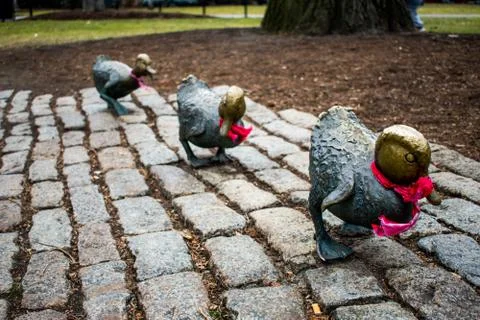 A row of statue ducks in Boston Stock Photos