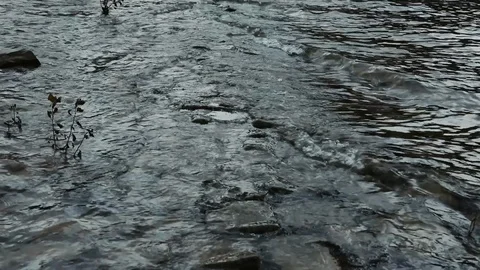 Row of stones washed over by river water Stock Footage 119774898