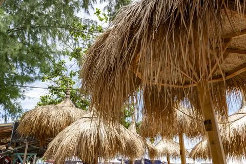 Row of straw umbrellas with a beach in the background. Stock Photos