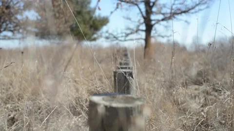Row of Stumps in a Field Vídeos de archivo 66365664