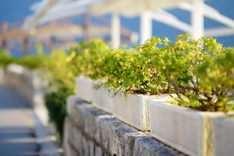 A row of stylish turquoise flower pots on the promenade along the sea Stock Photos