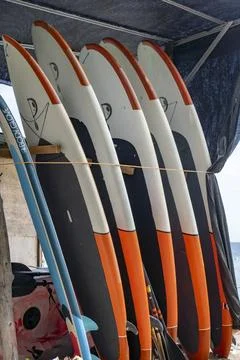 Row of surfboards are lined up on a rack Stock Photos
