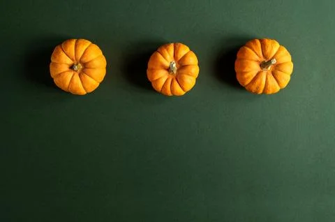 Row of three mini pumpkins on green background. Stock Photos