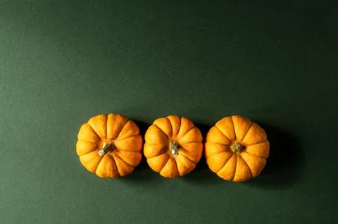 Row of three mini pumpkins on green background. Stock Photos