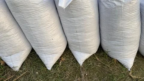 Row of tightly packed white polypropylene bags rests upon grass in a field 写真素材
