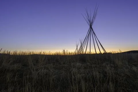A row of tipi (teepee) frames on the Stoney Indian Reserve Stock Photos
