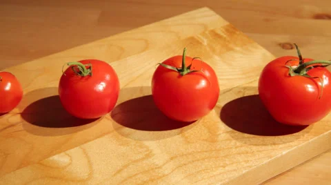 A row of tomatoes aligned by size Stock Footage 53285283