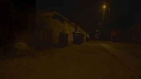 A row of trash bins stands in dark night alley with few dim streetlights. Street Stock Footage 286255749