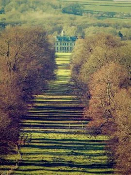 Row of trees 2 Fotos de archivo
