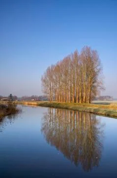Row of trees along the Berkel Stock Photos